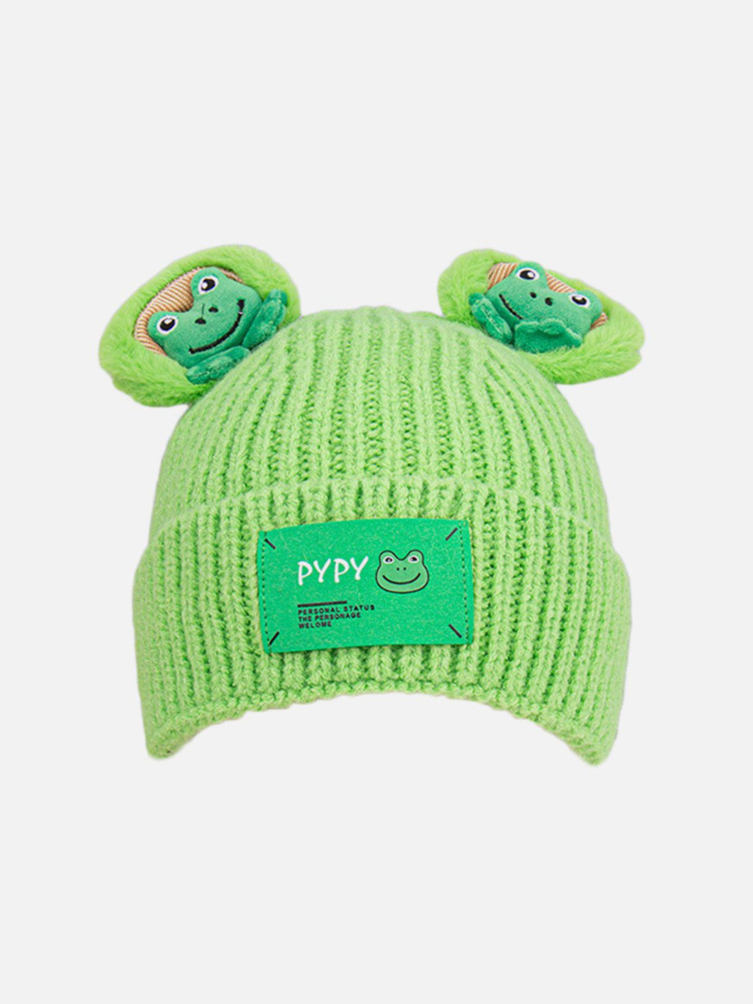 Helmiss - Cute Cartoon 3D Frog Knitting Hat- Streetwear Fashion - helmiss.com