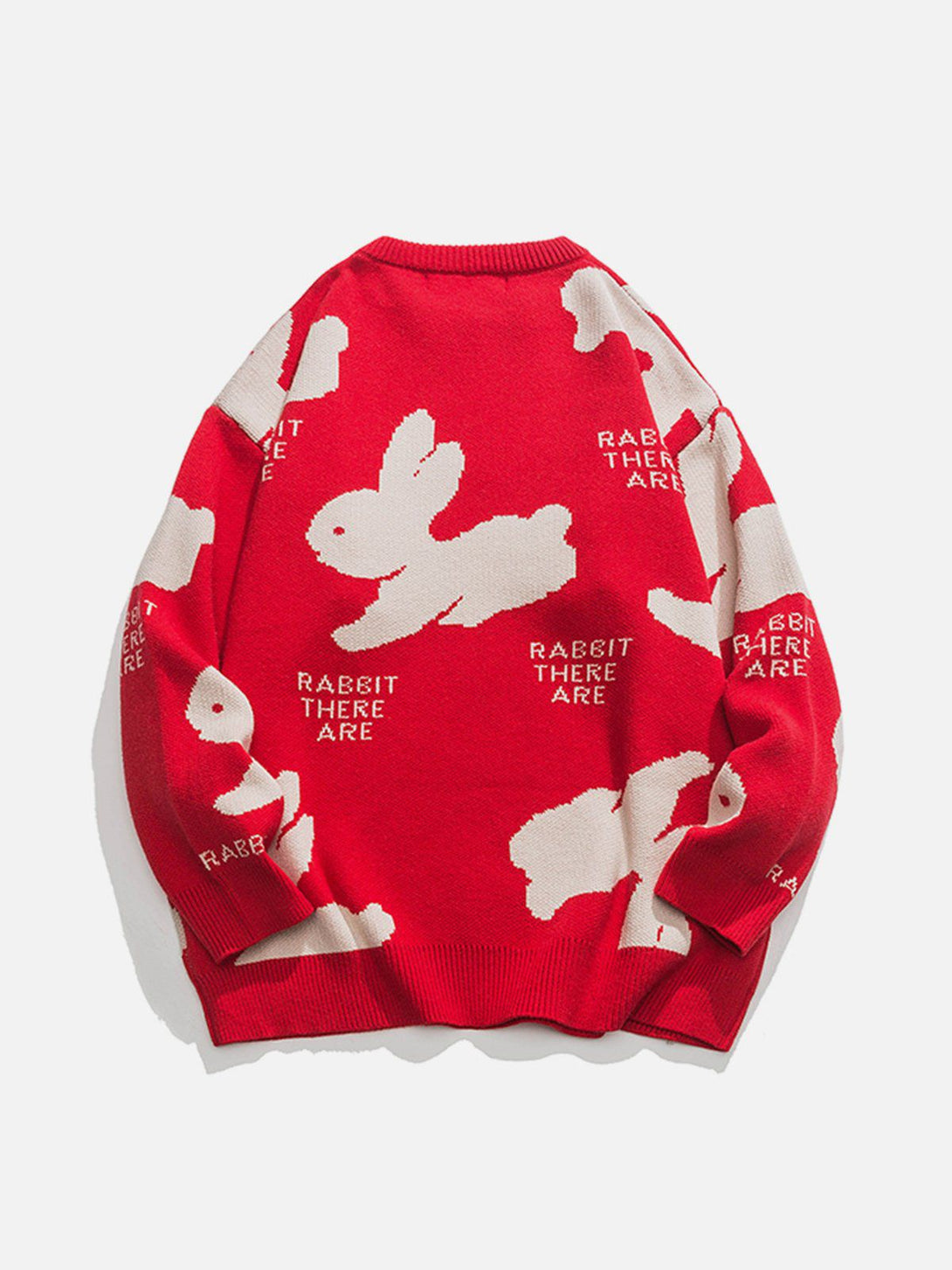 Helmiss - Cute Rabbit Sweater- Streetwear Fashion - helmiss.com